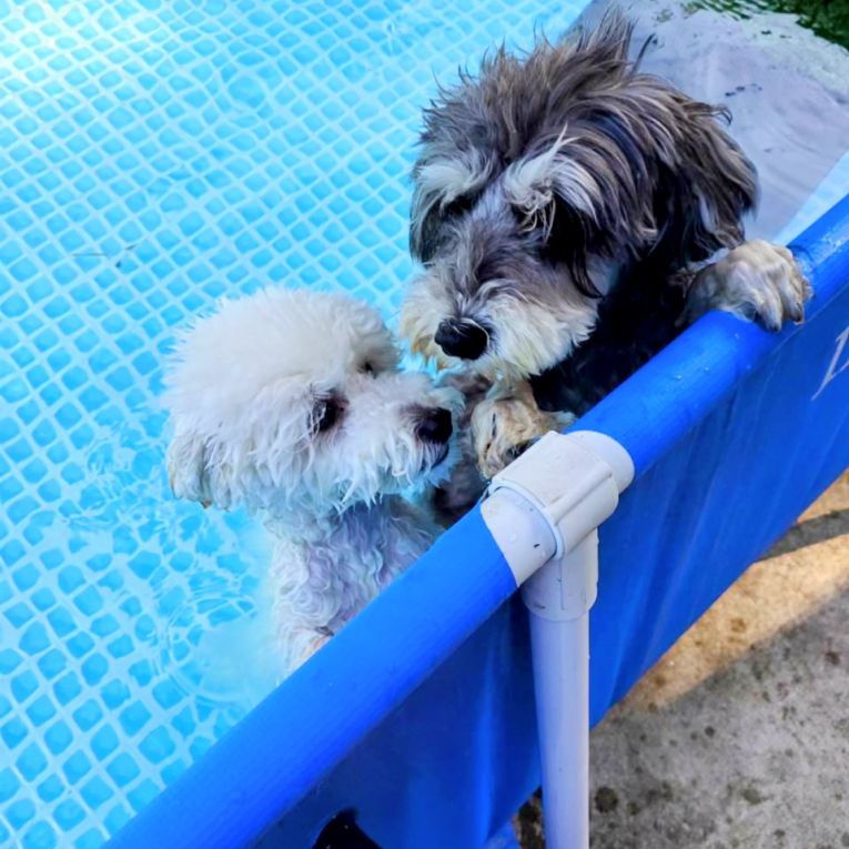 山葵&紅子ちゃん