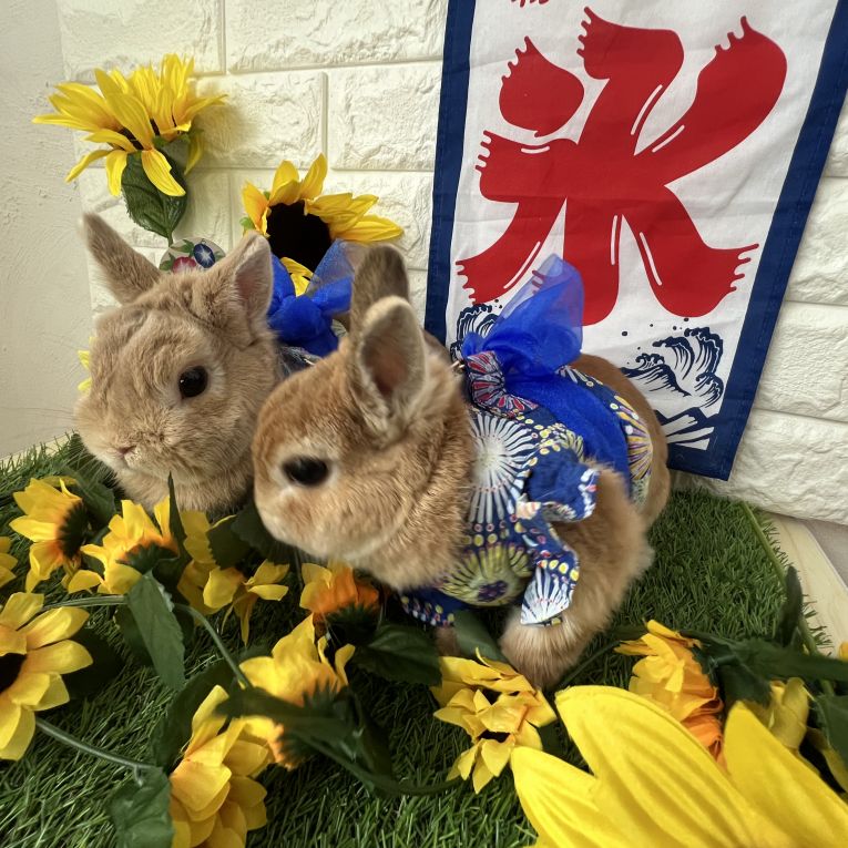 Cookie お友達とちゃん