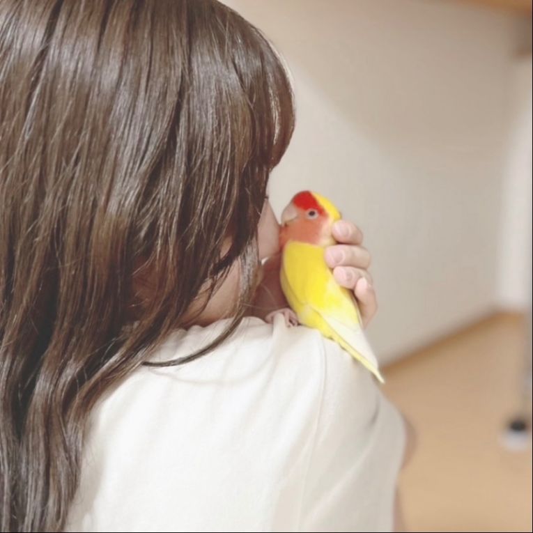 ぴーちゃん