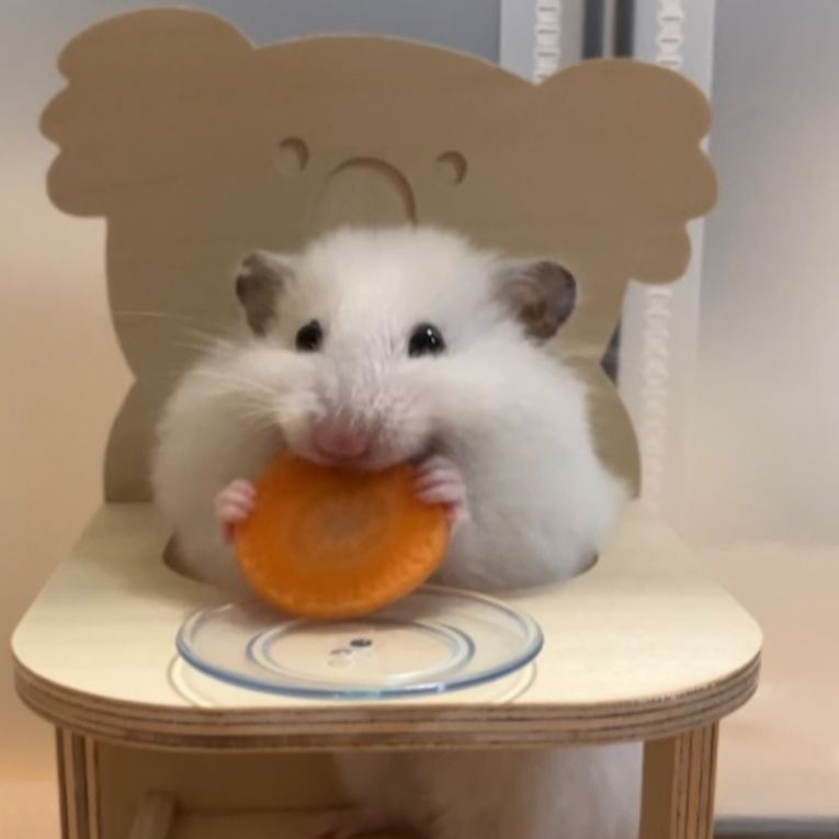 ぱふぇちゃん