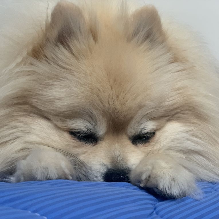 ムーちゃん