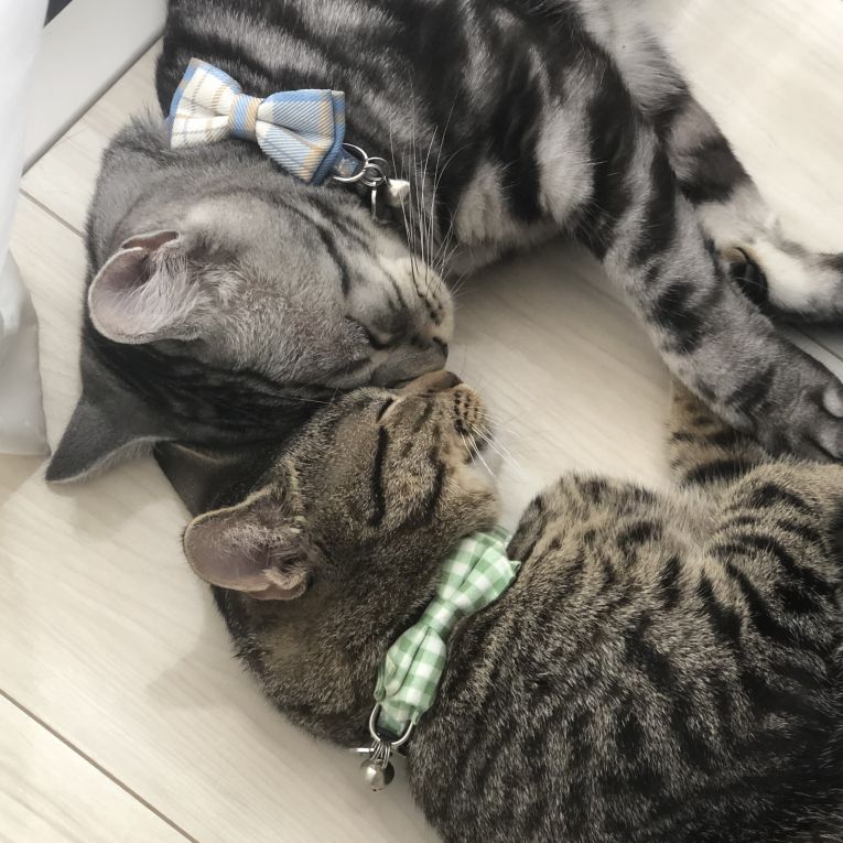 まさちゃん、はるちゃん