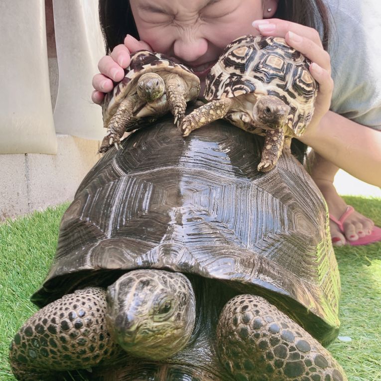 アルちゃんリリララちゃん