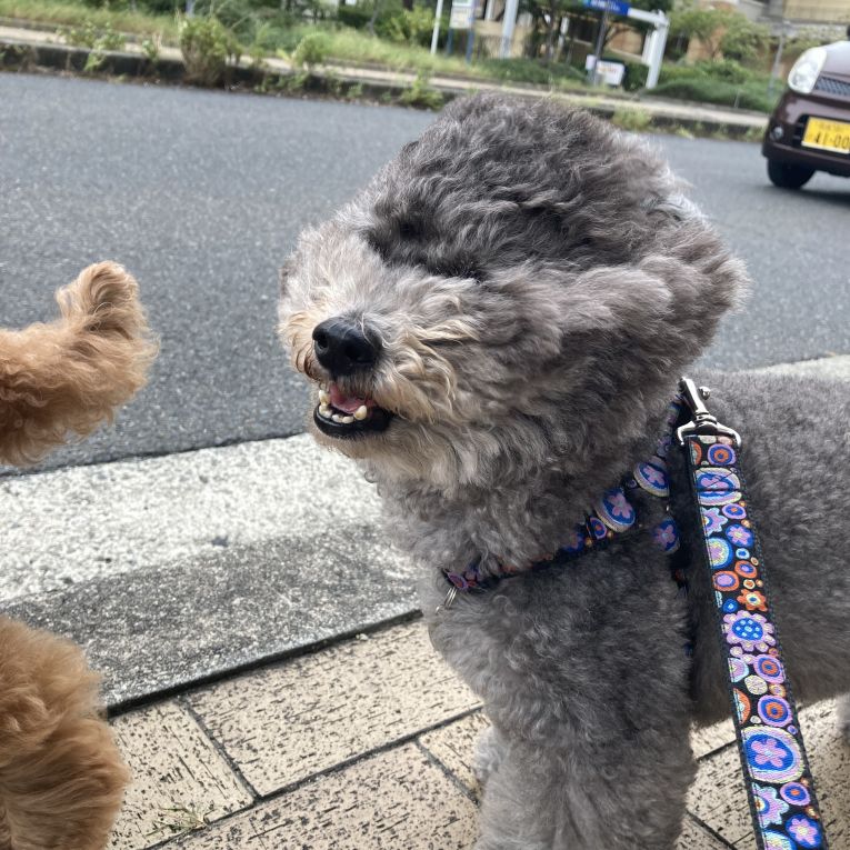 もこちゃん