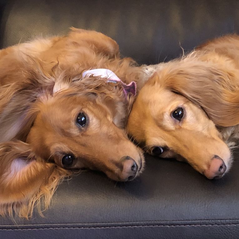 クルミ&ミルクちゃん