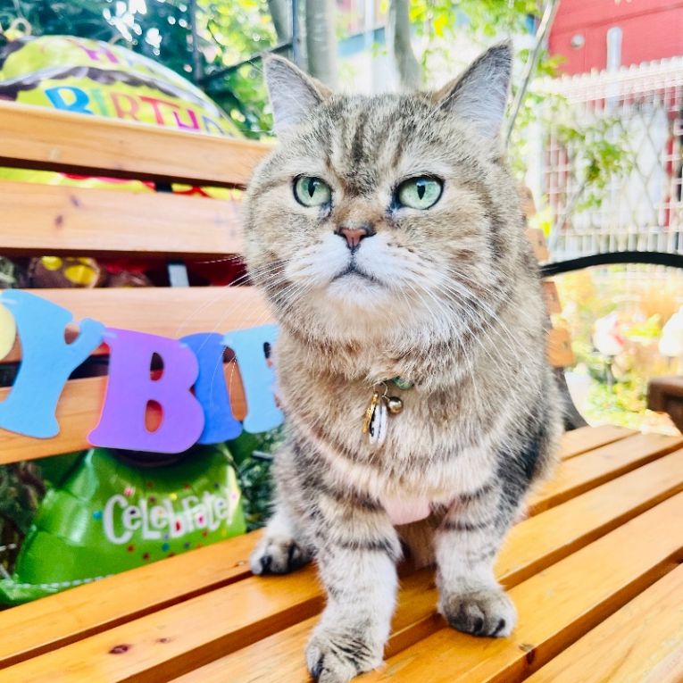 ももちゃん15才バースデー❤️ちゃん