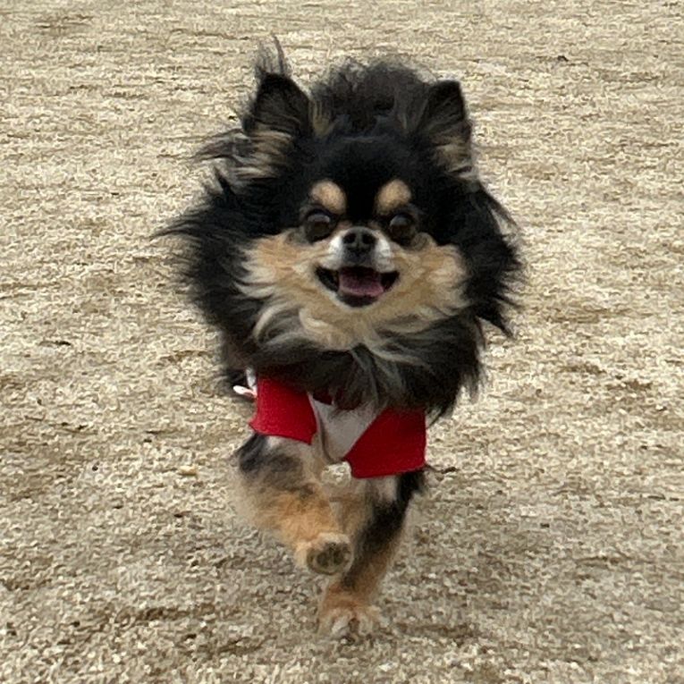 コタロウちゃん