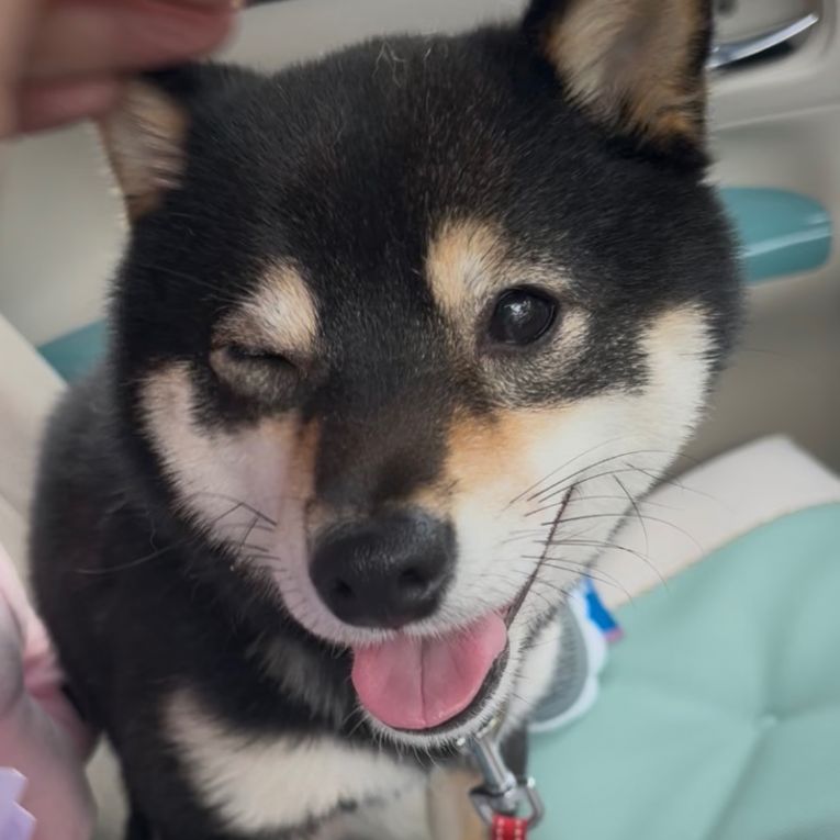 まっちゃちゃん