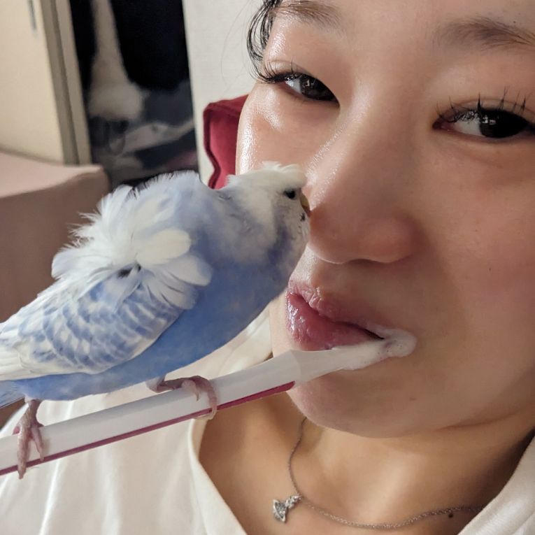 あむちゃん