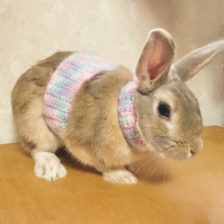 ころっけちゃん