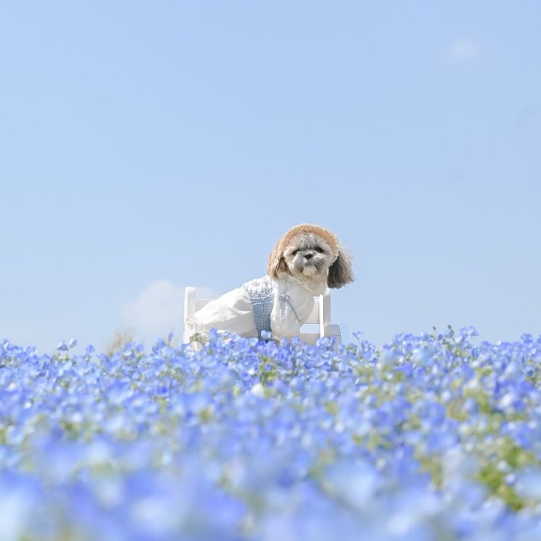 ルークちゃん