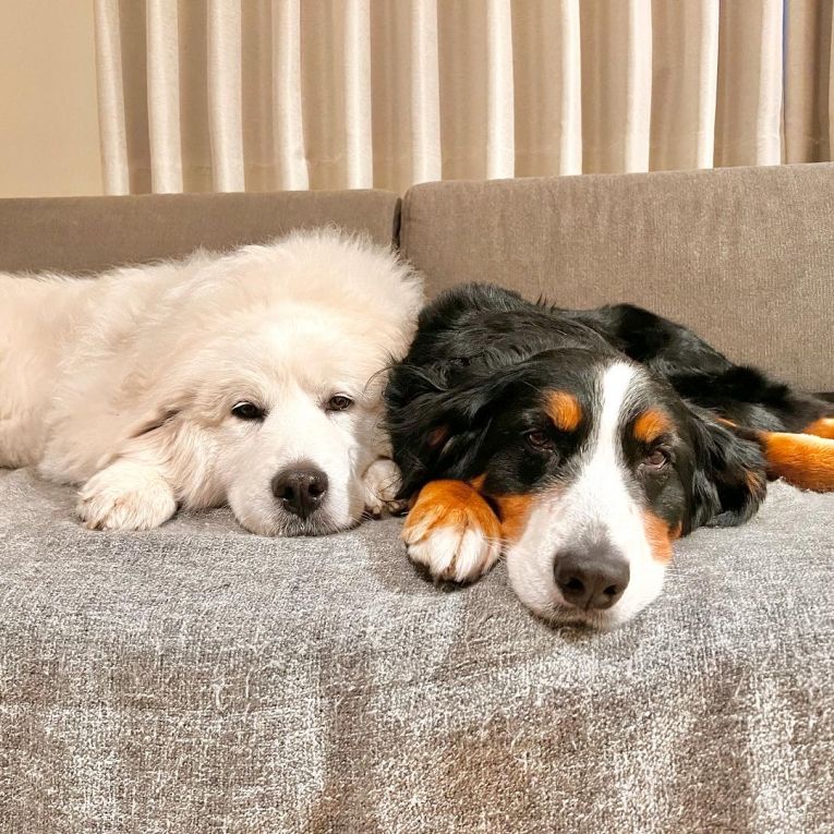 ジェニとムーちゃん