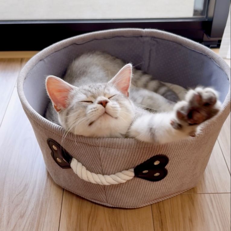 ミルちゃん