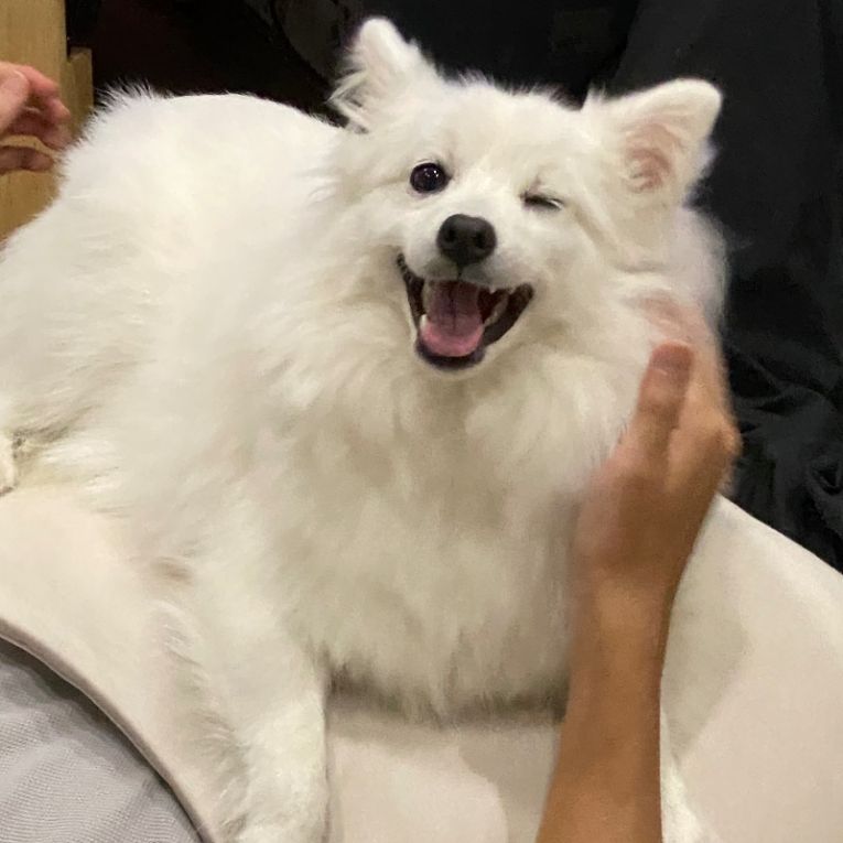 ビビちゃん