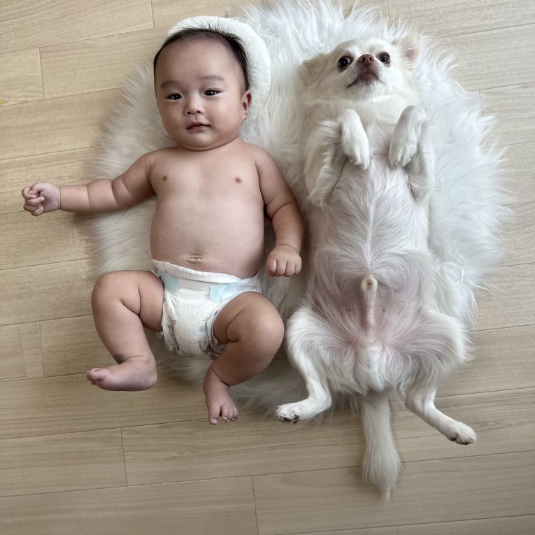 シェリーちゃん