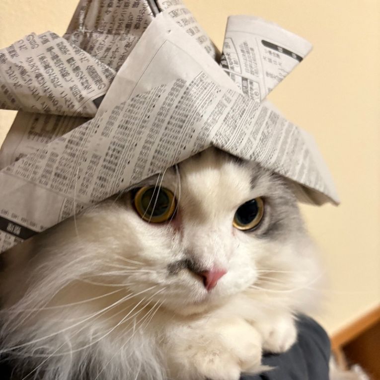 ニアちゃん
