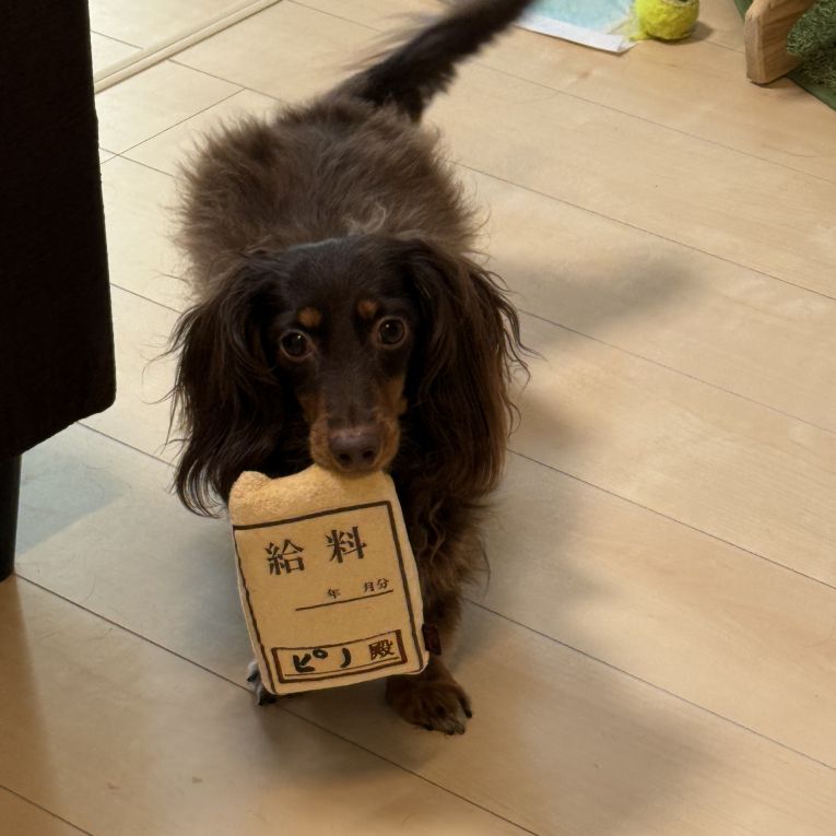 ピノちゃん