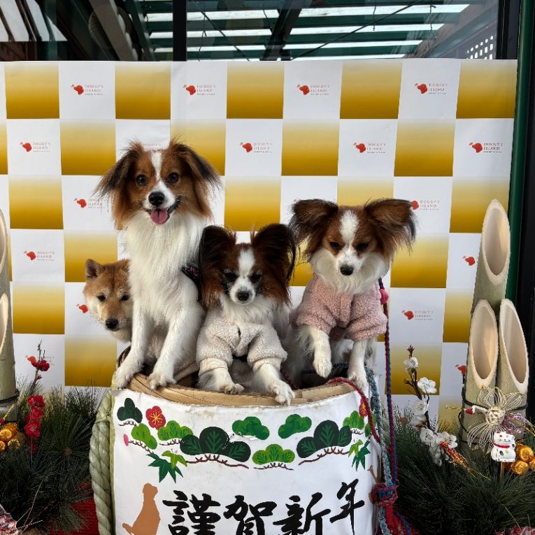 零　空　海　凛ちゃん