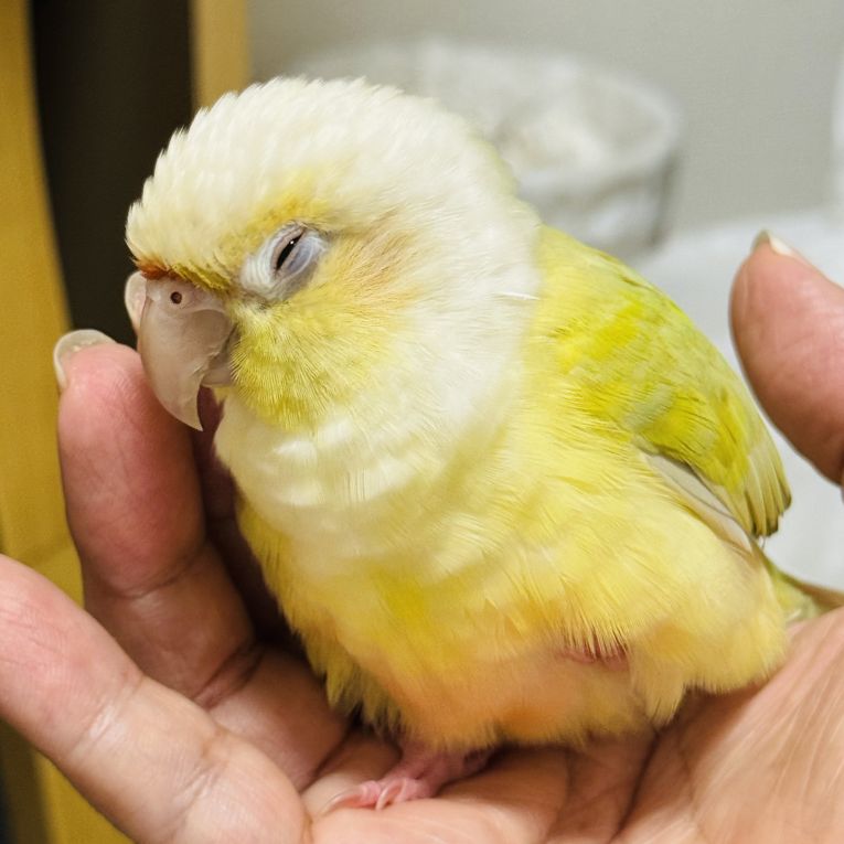 空太ちゃん