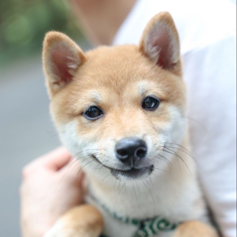 福ちゃん
