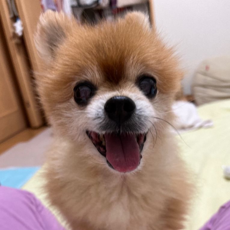 えいとちゃん