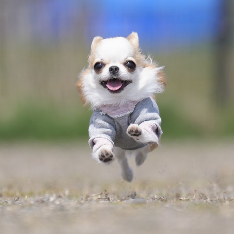 ゆあちゃん