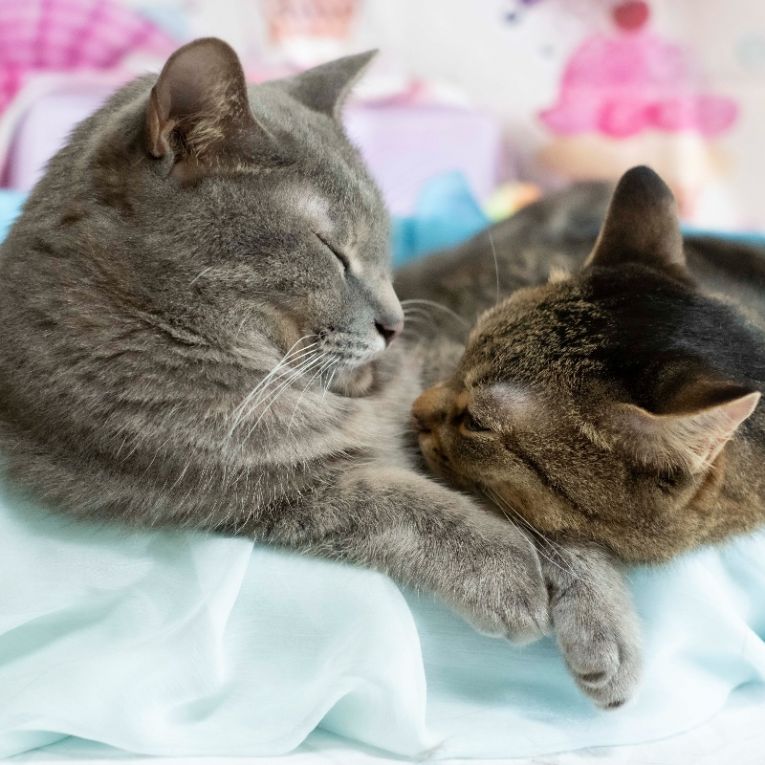 なつ＆ゆずちゃん