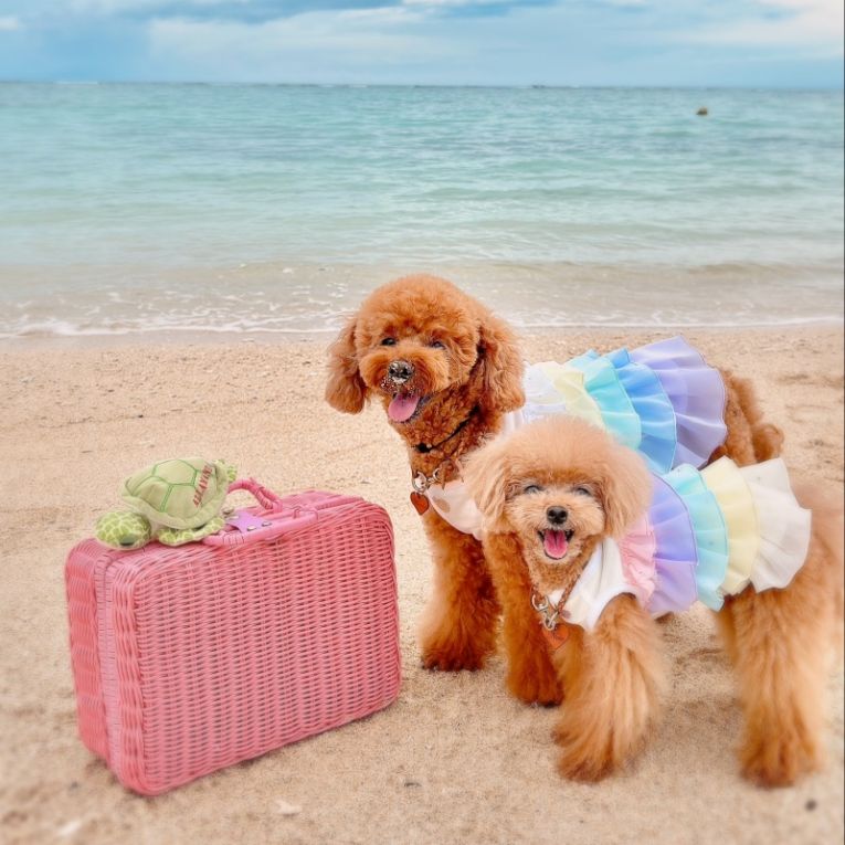 Marron ＆ Noixちゃん