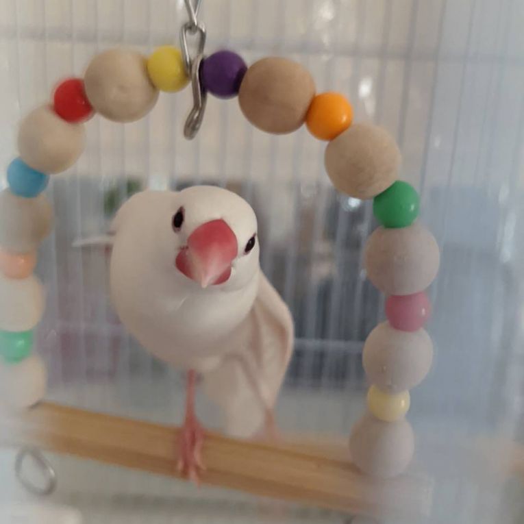 おもちゃん