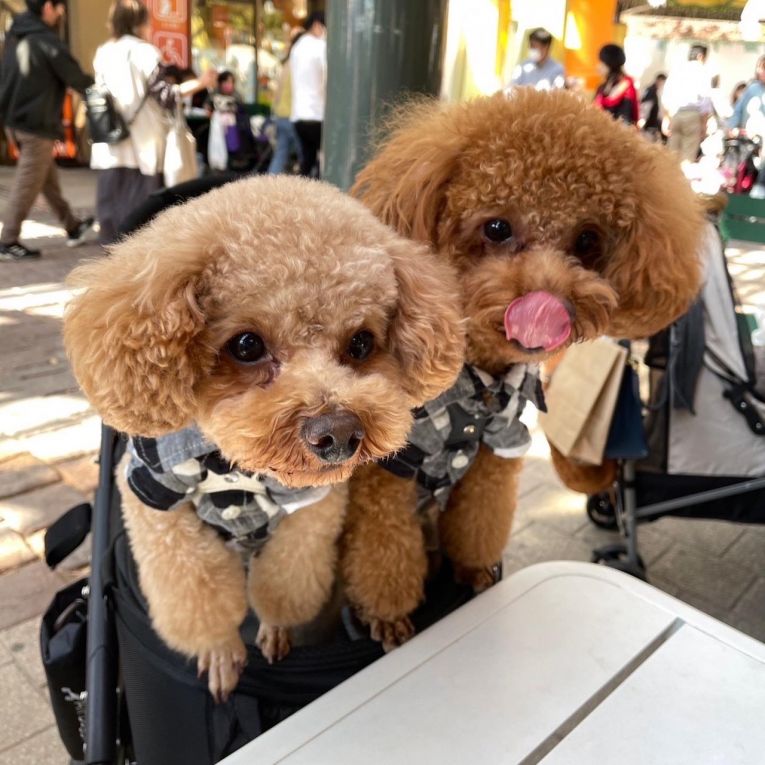 シェリ、ラキちゃん