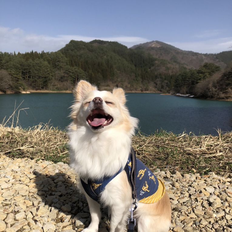 ロイちゃん