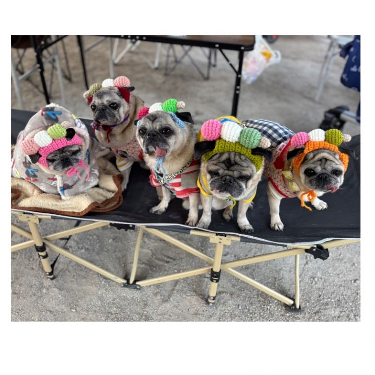 エクラfamilyちゃん