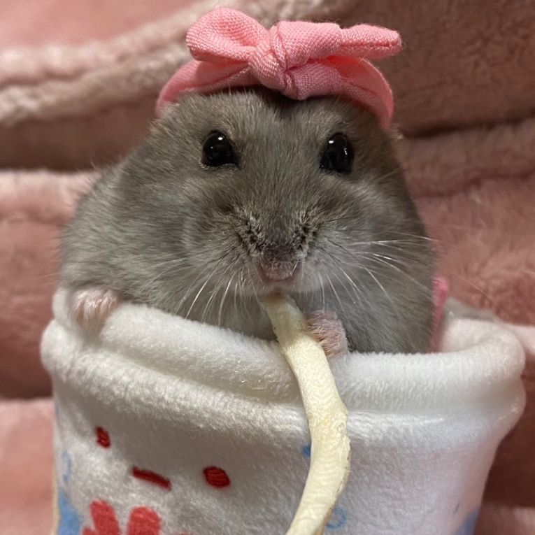 ちっぷんちゃん