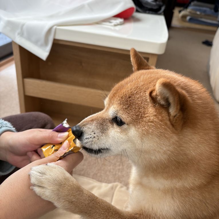 源ちゃん