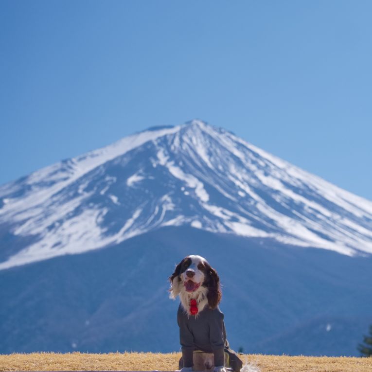 ラフターちゃん