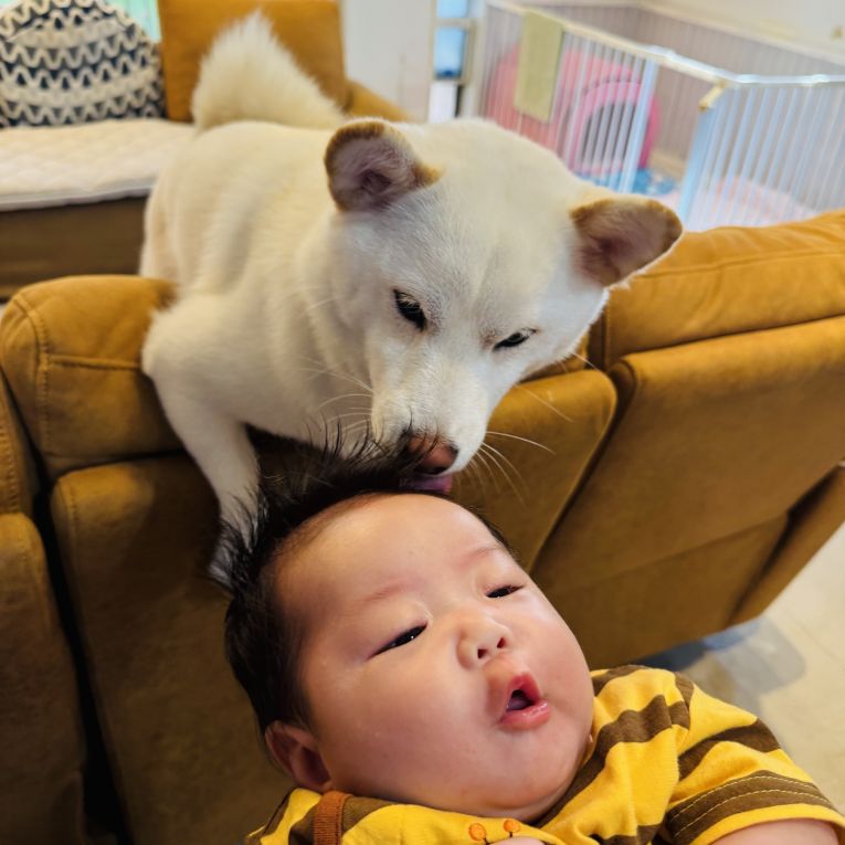 めめちゃん