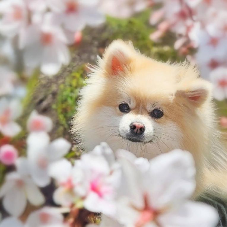つむぎちゃん