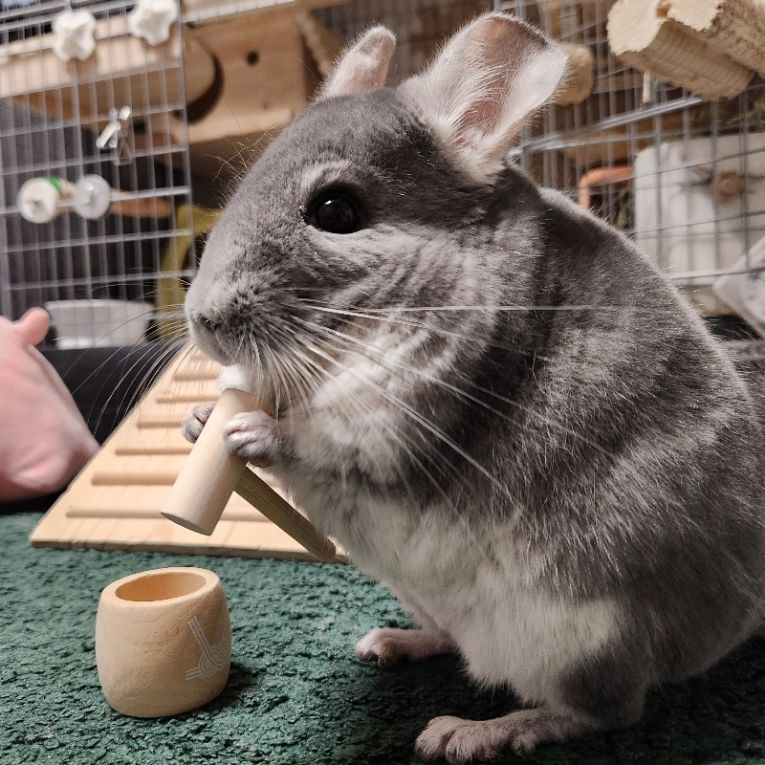 そらちゃん