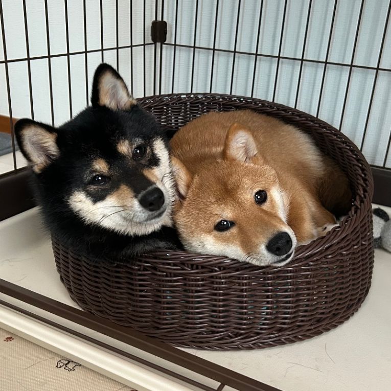 空と音ちゃん