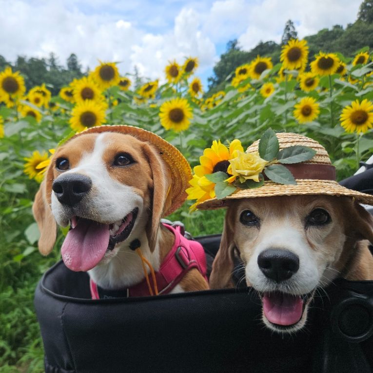 ファータ&オットちゃん