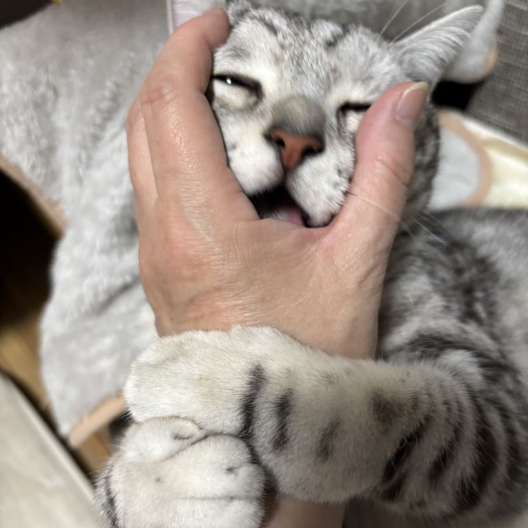 福ちゃん