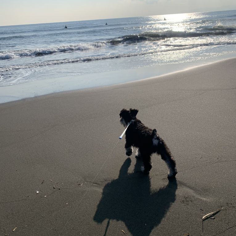 じじさんちゃん