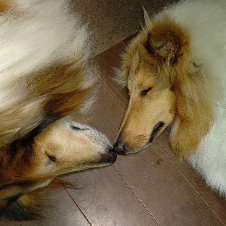 虎太朗と蒼輔ちゃん