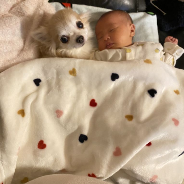 アンジュちゃん