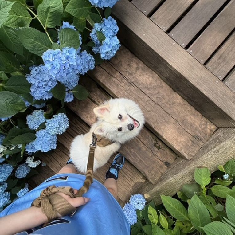 ちょっぱーちゃん