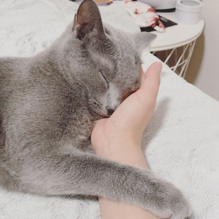 Melちゃん