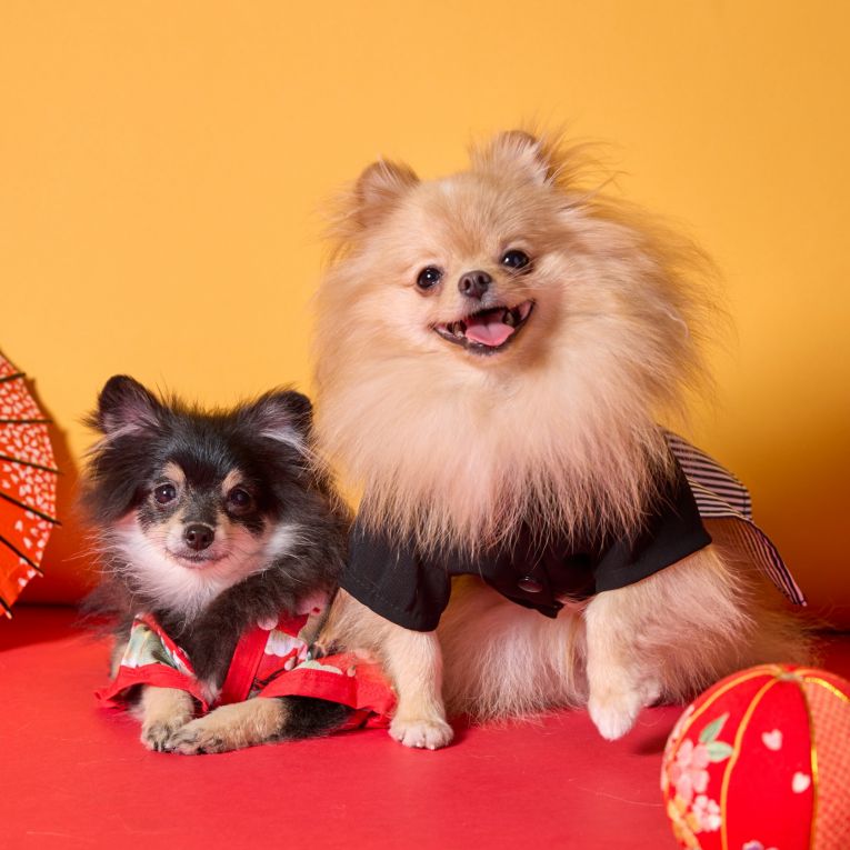 ハル、エマちゃん