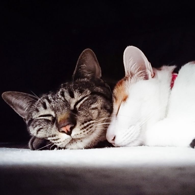 小梅＆かんなちゃん