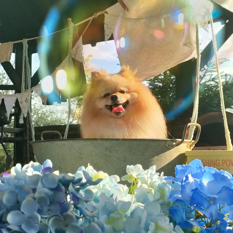 そらちゃん