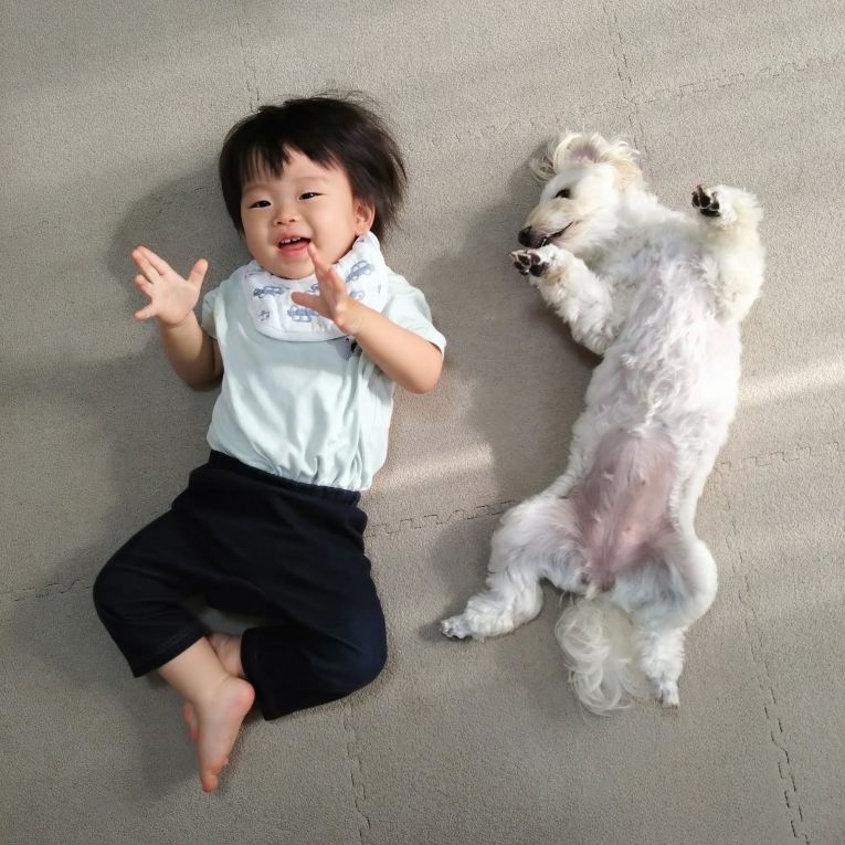ぽてとちゃん